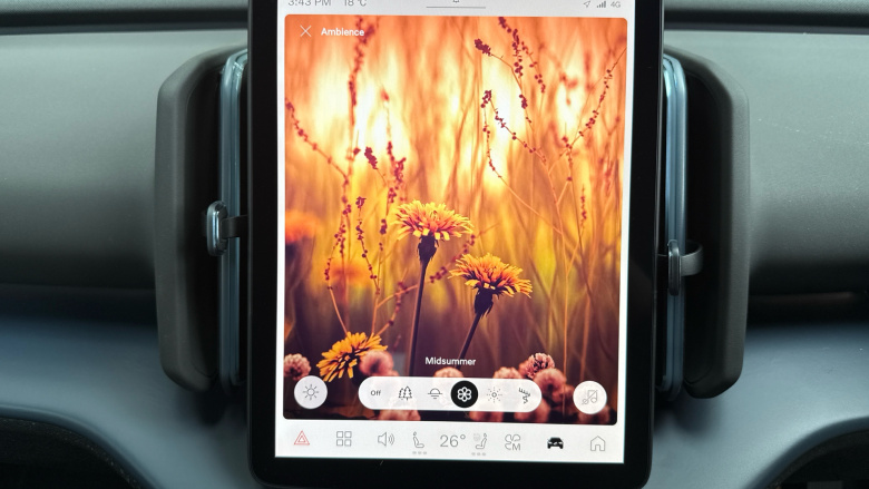 Volvo EX30 315kW Twin Motor Performance Plus 69kWh 5dr Auto Electric Estate